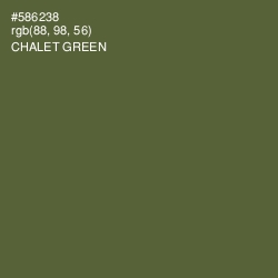 #586238 - Chalet Green Color Image